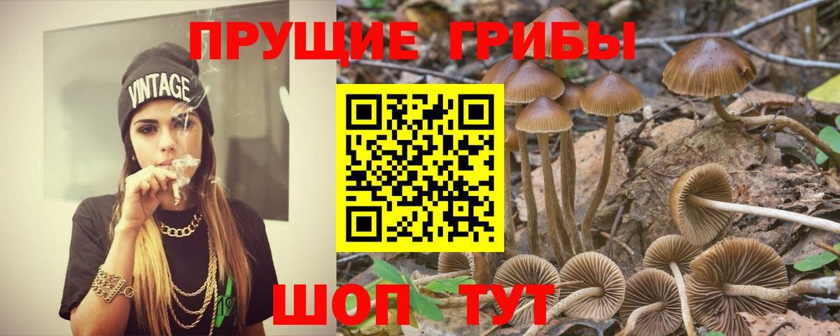 Псилоцибиновые грибы прущие грибы  Вход с VPN  Люберцы 
