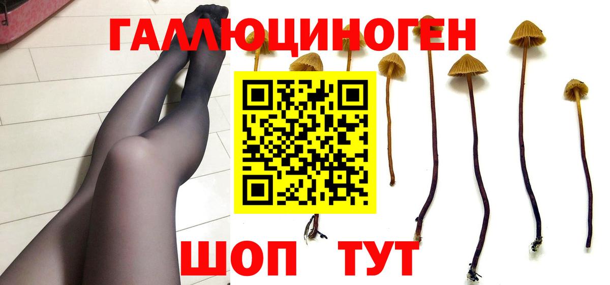 Галлюциногенные грибы GOLDEN TEACHER Люберцы
